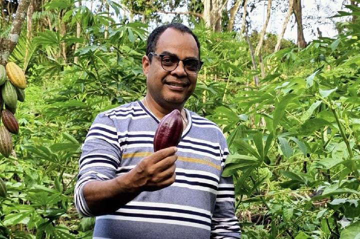 A crise do cacau e os limites do mercado: um alerta estrutural para o Sul da Bahia. 