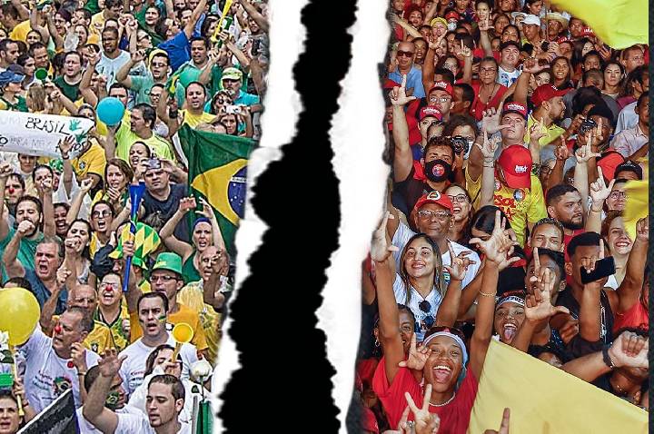 A DITA POLARIZAÇÃO E AS FORMIGAS
