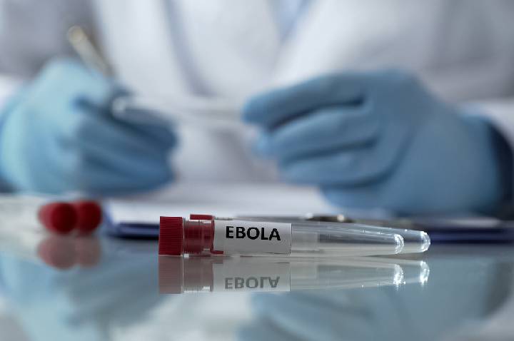 OMS declara emergência internacional por surto de ebola