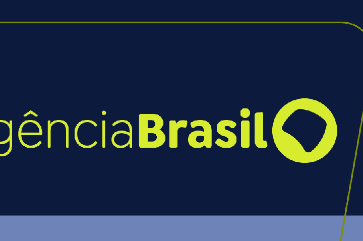 SP: três pessoas ficam feridas após árvore cair no Parque Ibirapuera