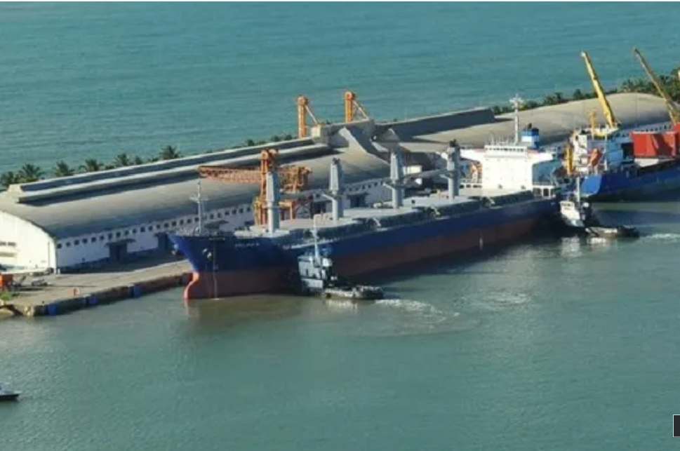 Comissão da Alba aprova audiência sobre riscos do cacau africano