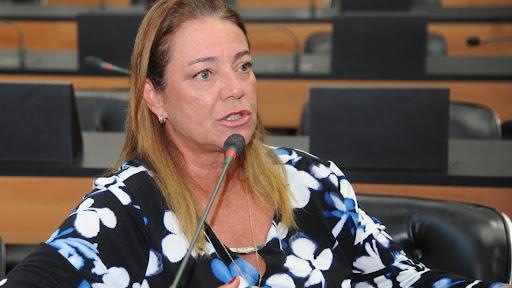 Fabíola Mansur pede mais divulgação das ações da Casa da Mulher Brasileira