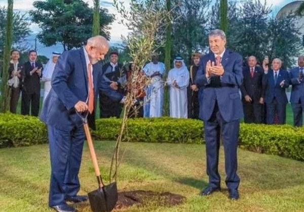 Lula planta pé de oliveira e pergunta quando nascem as uvas, veja o vídeo