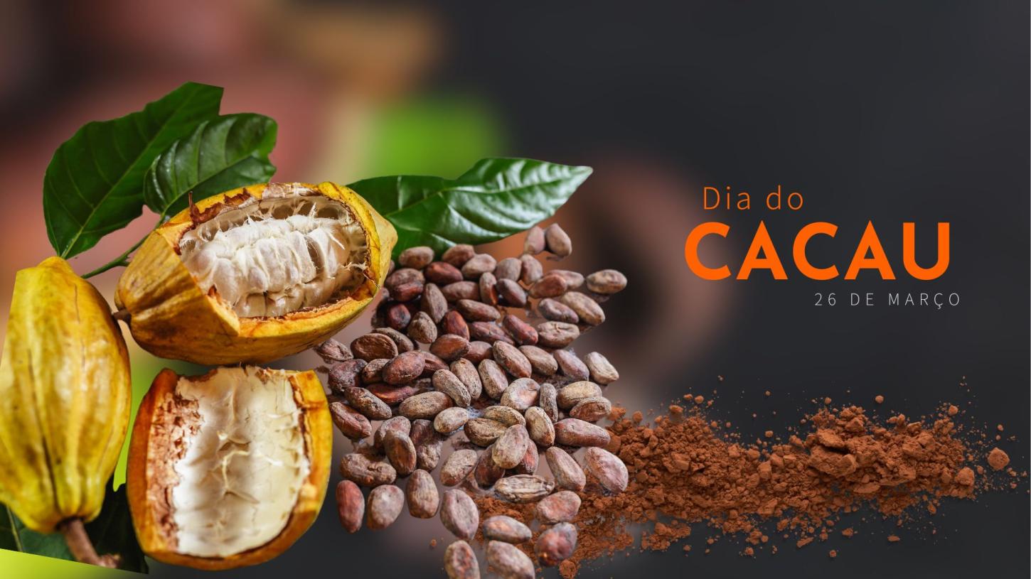 Celebrando o Legado do Cacau: Uma Homenagem de Ilhéus à sua História