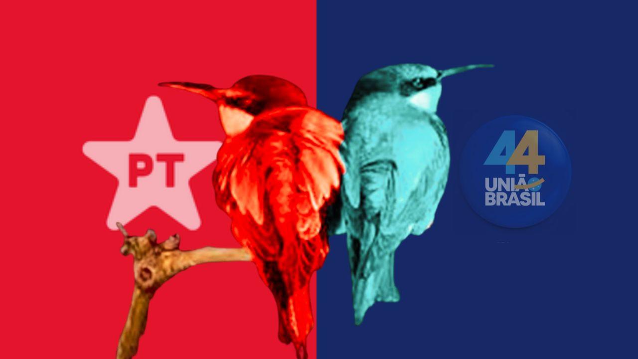 DOIS BICUDOS NÃO SE BEIJAM