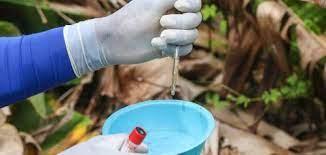 Em um ano, casos de dengue aumentam 650% na Bahia