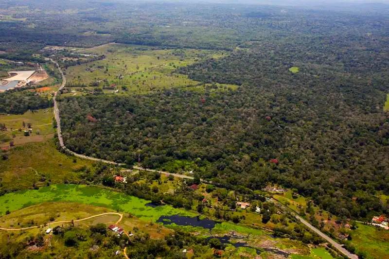 Ilhéus celebra a Semana do Meio Ambiente com diversas atividades de conscientização e preservação
