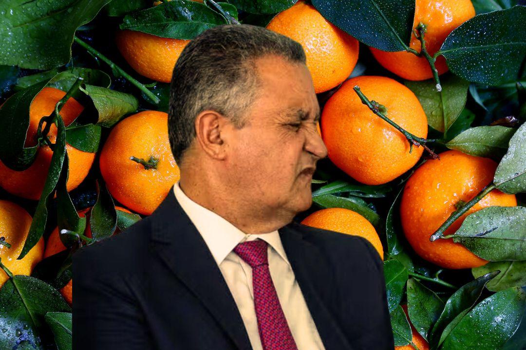 ENQUANTO OS PREÇOS SOBEM, SOLUÇÃO DE RUI COSTA É TROCAR DE FRUTA