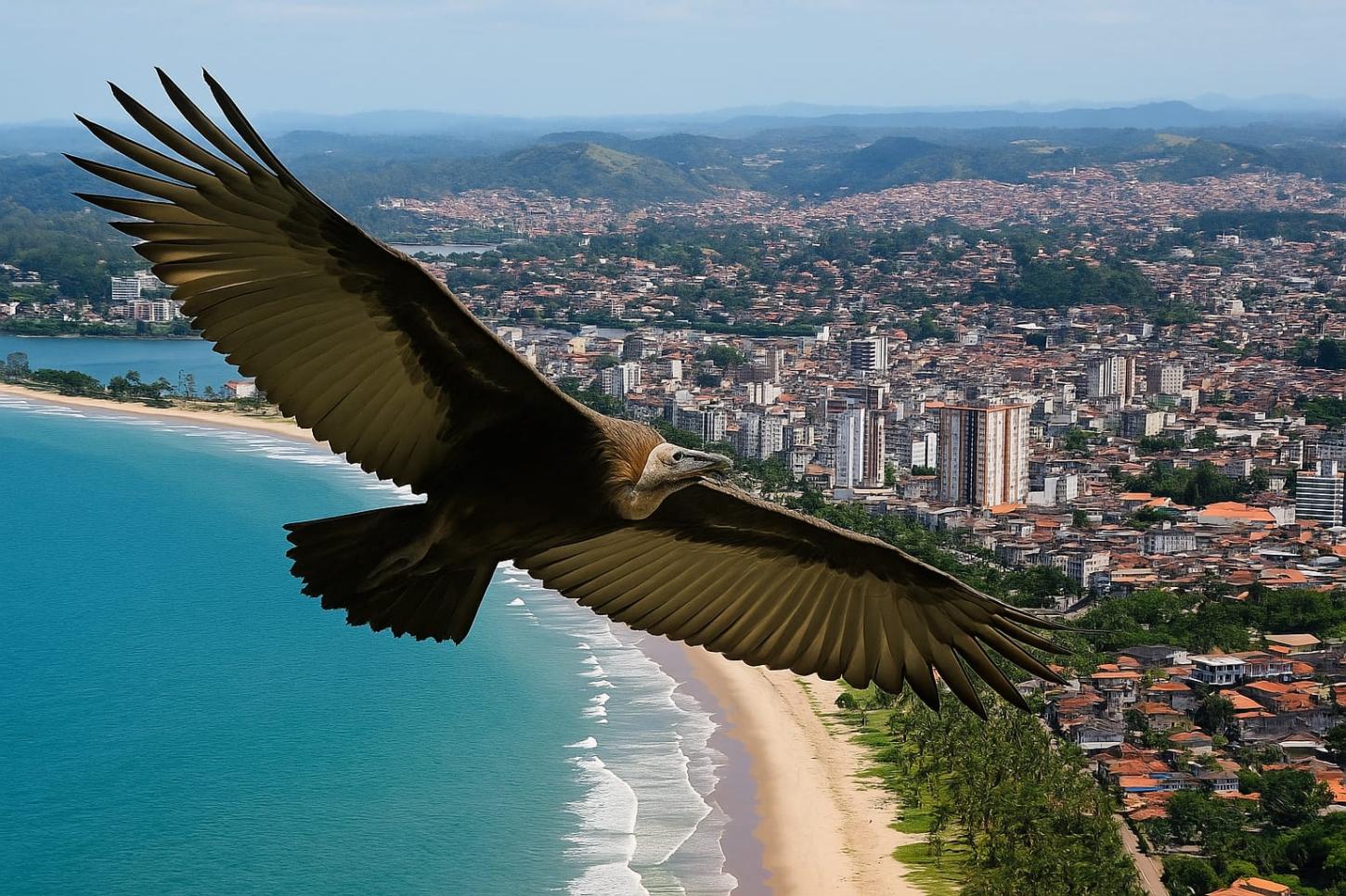 ABUTRES DA DOR ALHEIA