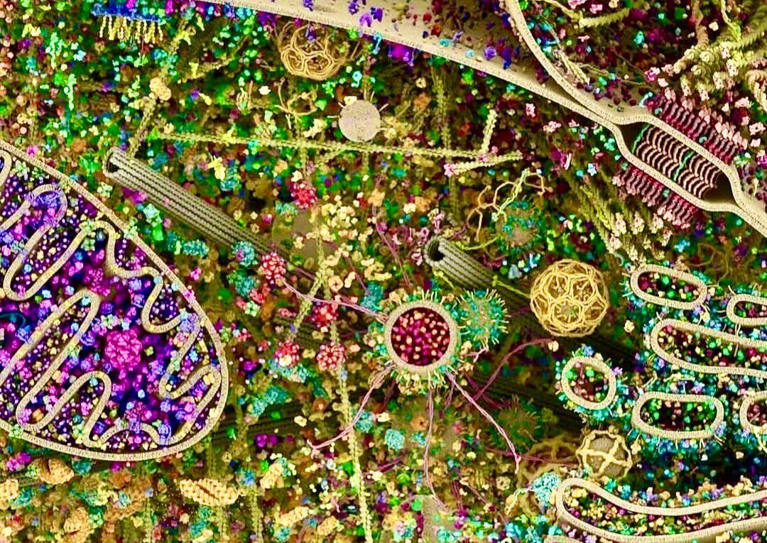 REFLEXÕES SOBRE ESTA FOTO INCRÍVEL