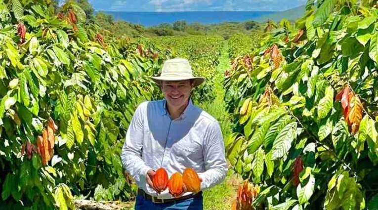 Crise do cacau na Bahia inicia calendário 2026 das Câmaras Setoriais com foco na recuperação da cadeia produtiva