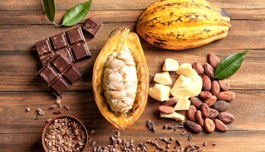 Chocolate de verdade ou gordura vegetal? A batalha dos produtores de cacau contra a nova lei