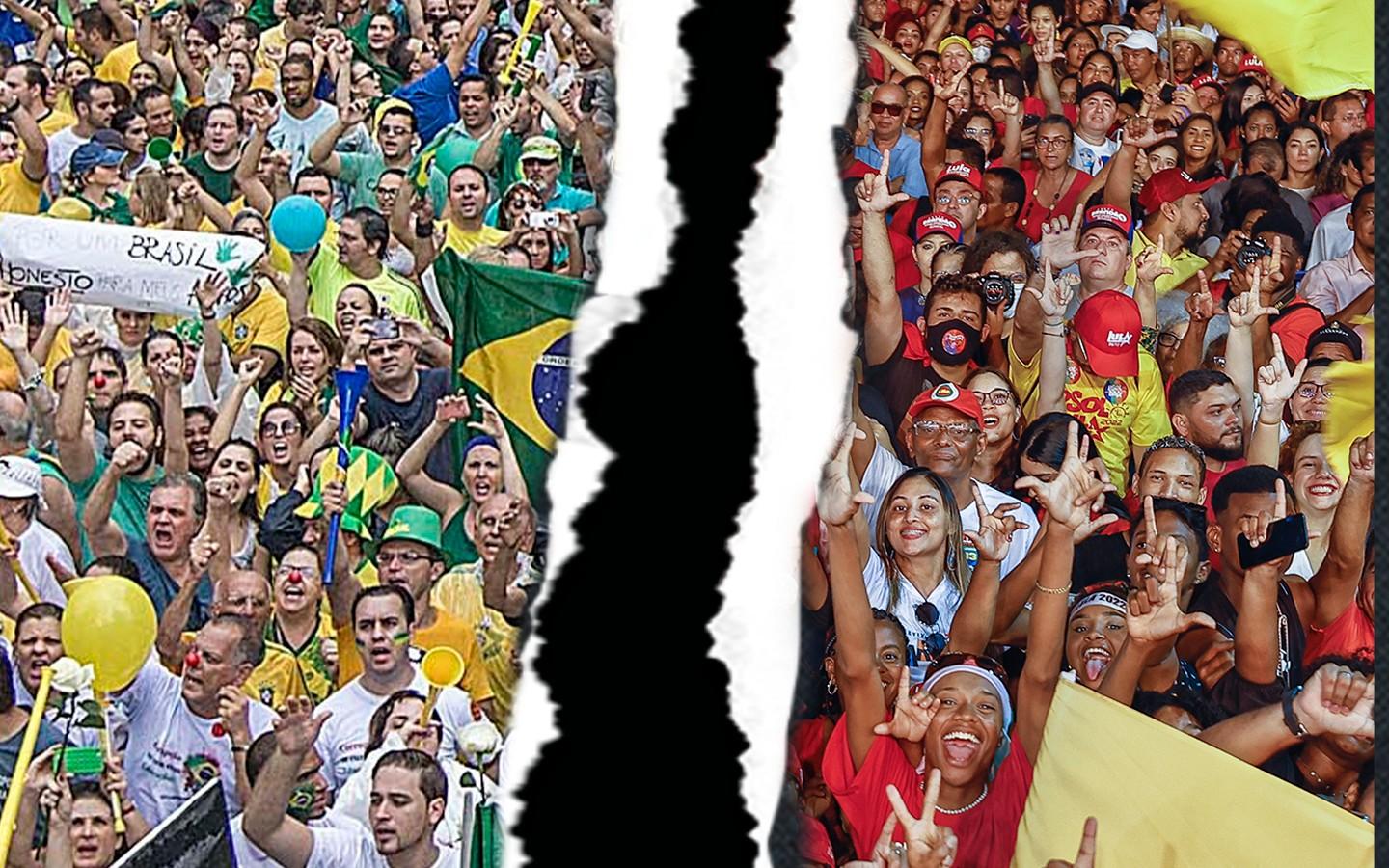 A DITA POLARIZAÇÃO E AS FORMIGAS