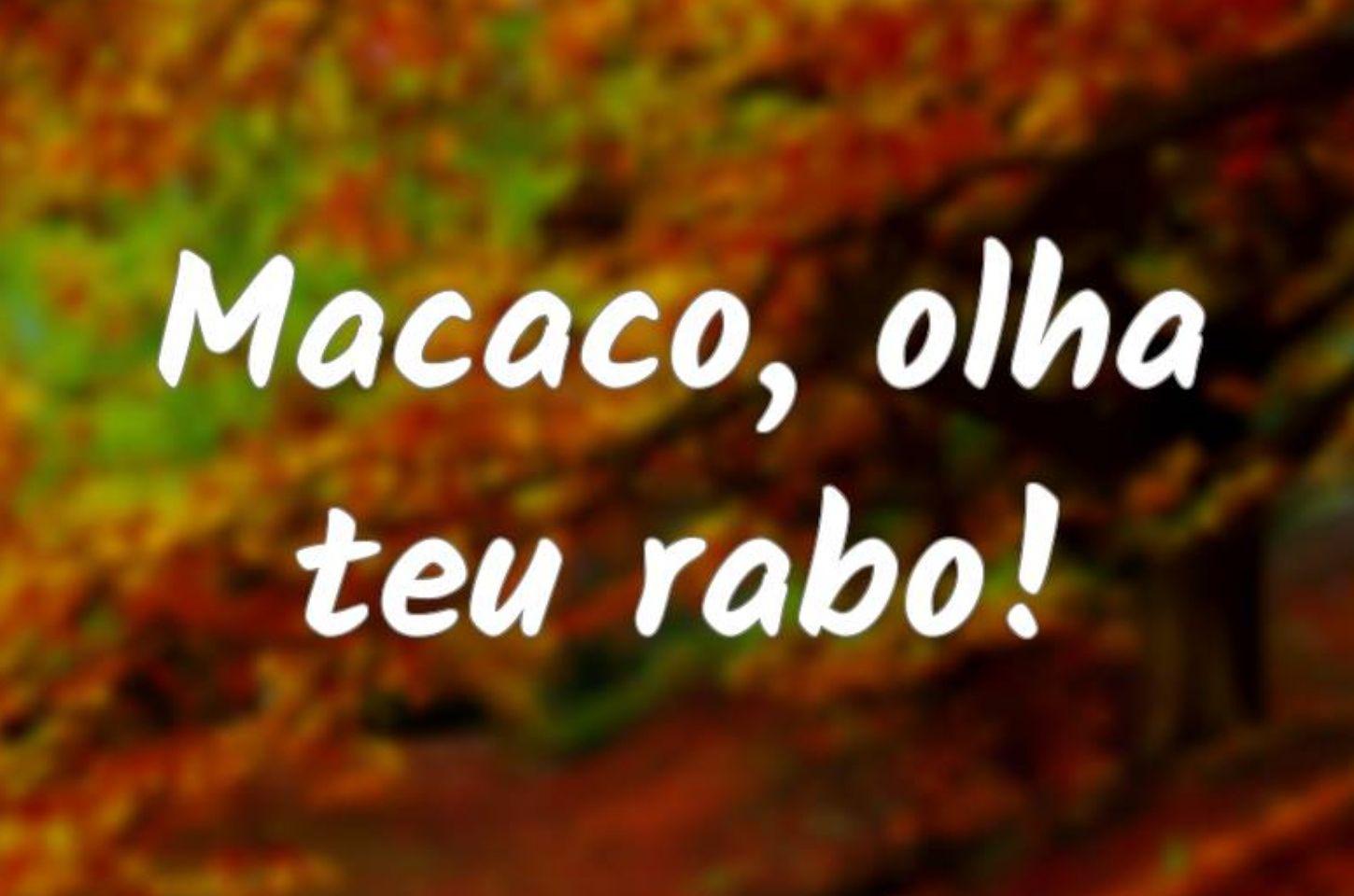 TELHADO DE VIDRO E O RABO DO MACACO