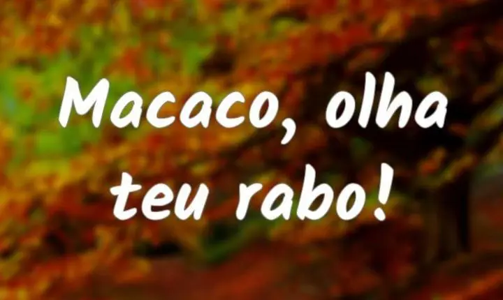 TELHADO DE VIDRO E O RABO DO MACACO